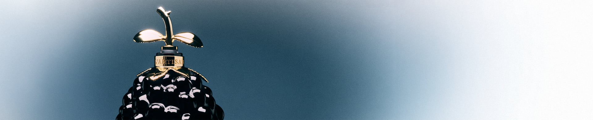 1 (11).png